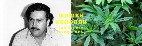 apvp Белокуриха